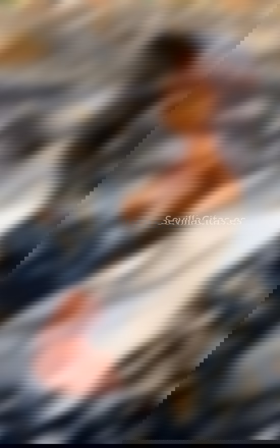 Alexa, rusa de 19 años. 644730088. Citas en SEVILLA, SEVILLA. www.sevillacitas.es.
