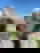 607751077