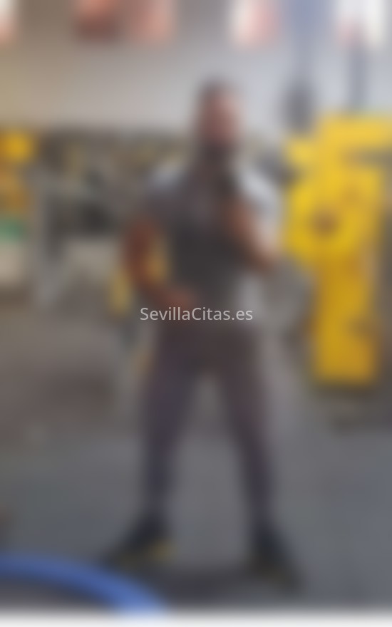 Sebastián, cubano fitness. 643505120. Citas en SEVILLA, SEVILLA. www.sevillacitas.es.