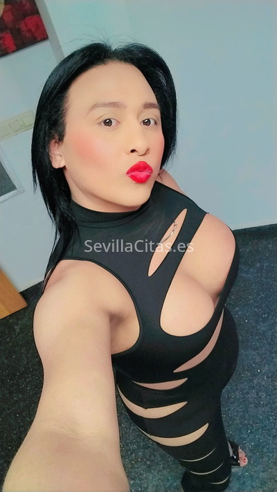 Daniela, trans venezolana. 637750364. Citas en SEVILLA, SEVILLA. www.sevillacitas.es. Daniela, trans venezolana. 637750364. Citas en SEVILLA, SEVILLA. www.sevillacitas.es.