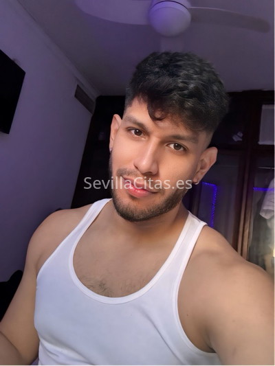 Daniel, latino recién llegado. 627275163. Citas en SEVILLA, SEVILLA. www.sevillacitas.es. Daniel, latino recién llegado. 627275163. Citas en SEVILLA, SEVILLA. www.sevillacitas.es.