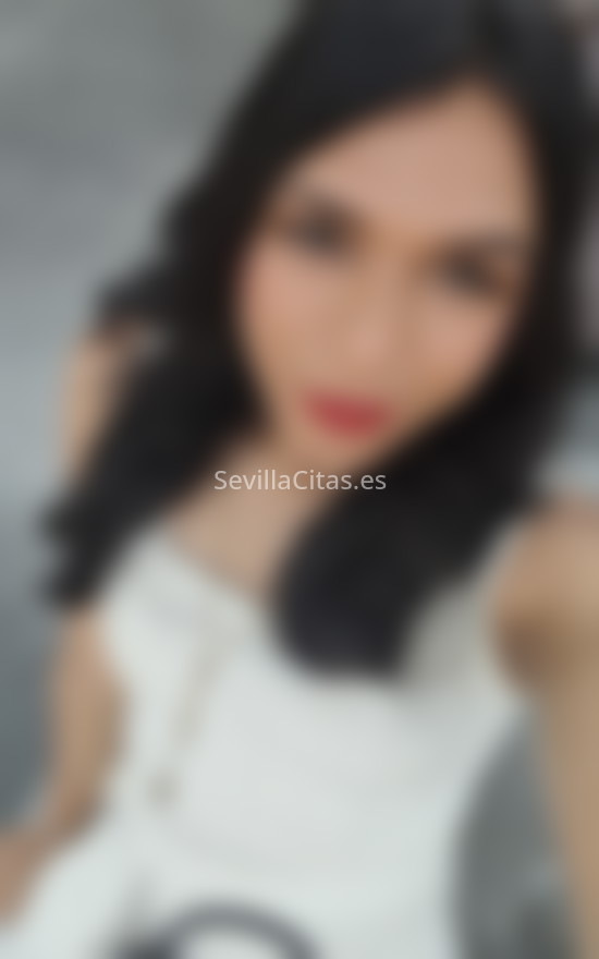 Evelyn, trans dulce y cariñosa. 634737822. Citas en SEVILLA, SEVILLA. www.sevillacitas.es.