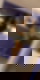 632887891